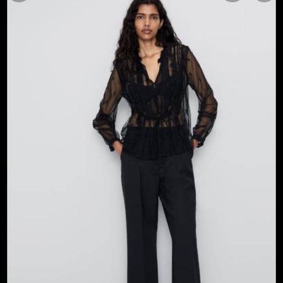 Zara Swiss Dot Sheer Blouse - Picture 9 of 14